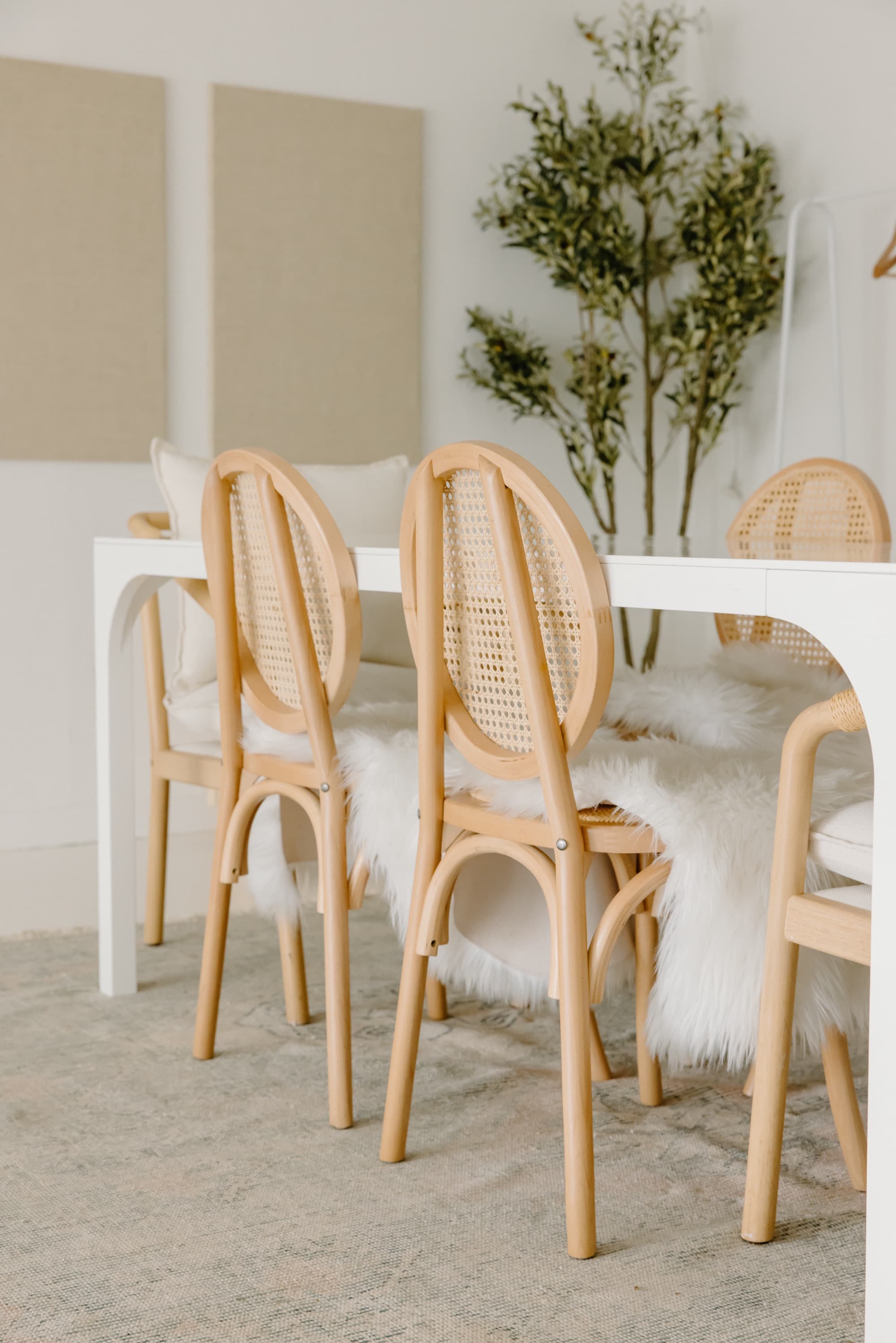 Curated studio interiors